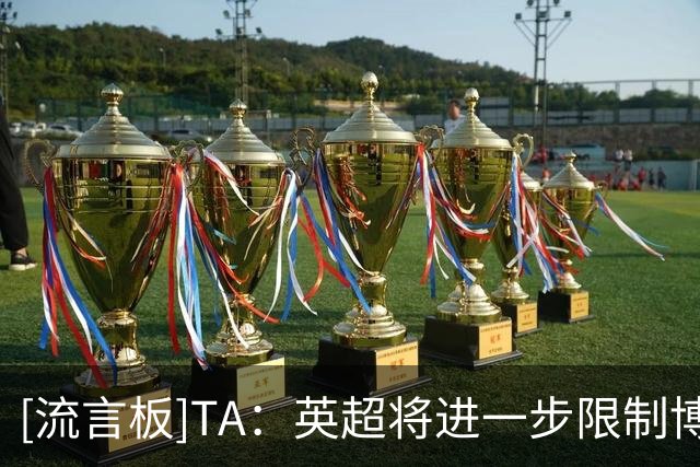 [流言板]TA：英超将进一步限制博彩广告宣传，尤其强调不危害未成年